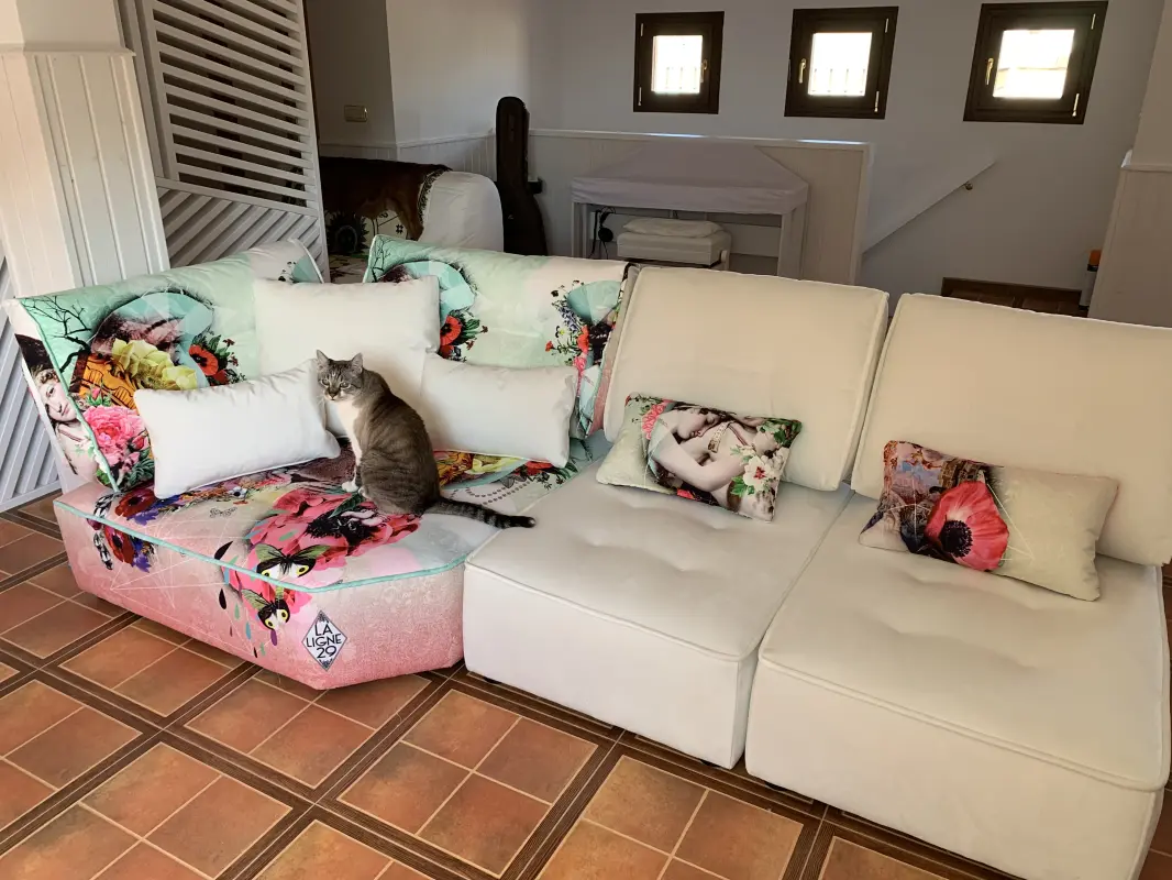 A Micho le encanta su nuevo sofá!