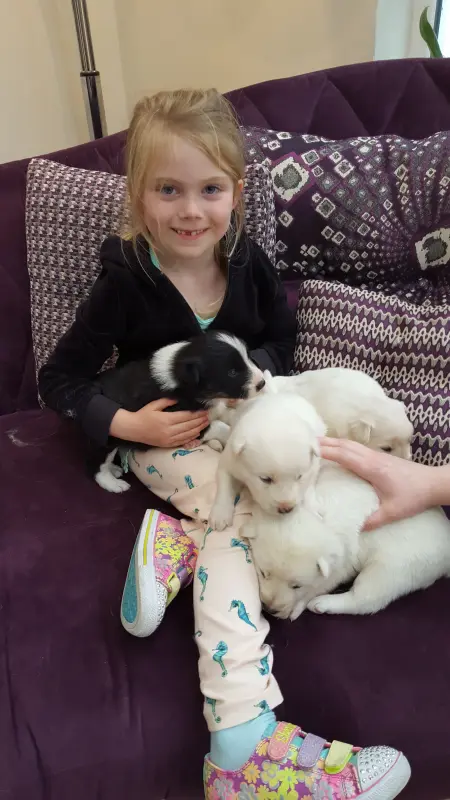 Olivia enjoying Pippas puppies on aunteen s Fama