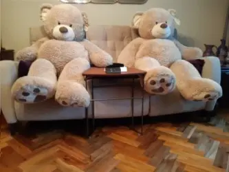 Ted and Ted