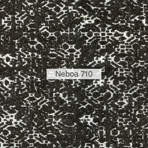 Neboa 2022 710
