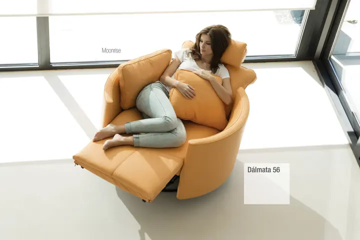 Dalmata piel Fama 2018 05