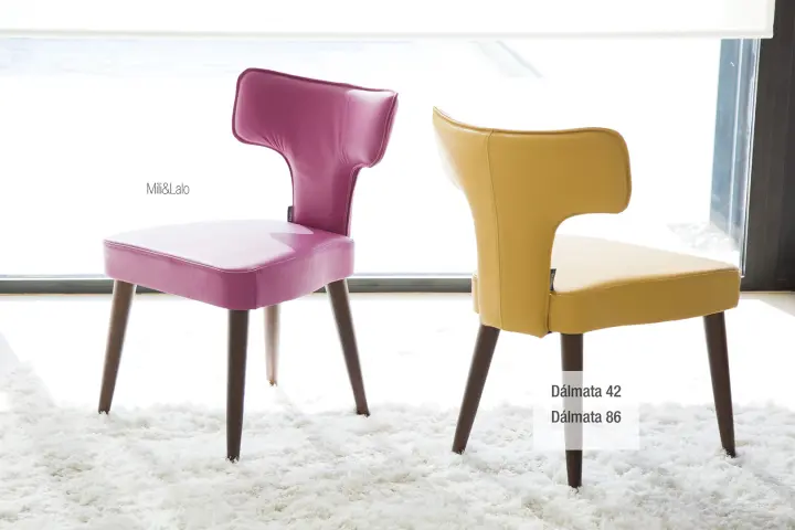 Dalmata piel Fama 2018 07