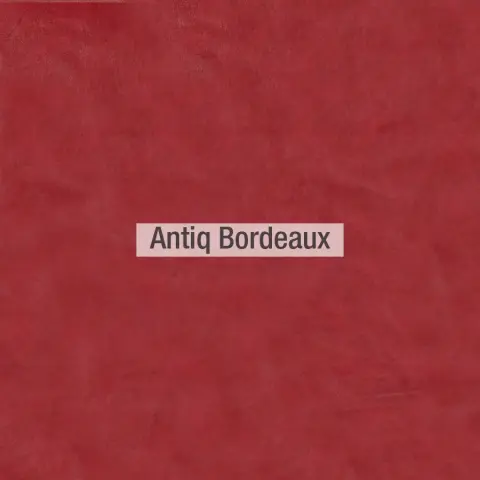 Antiq colores piel Fama 2020 01