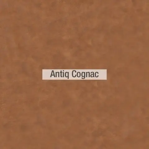 Antiq colores piel Fama 2020 03