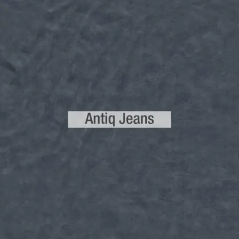 Antiq colores piel Fama 2020 04