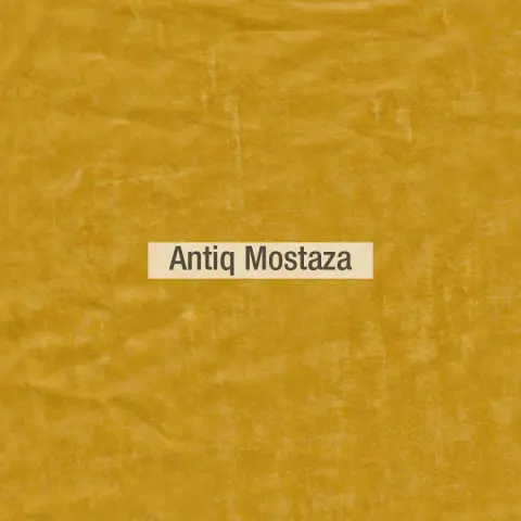 Antiq colores piel Fama 2020 06