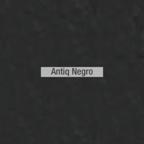 Antiq colores piel Fama 2020 07