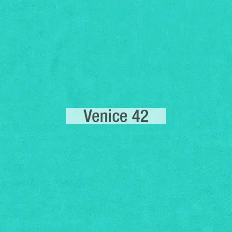 Venice color tela Fama 2020 15