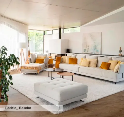 Pacific | Proyectos Basoko 1