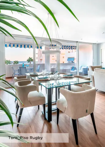 Toro silla Fama Piso Rugby 1