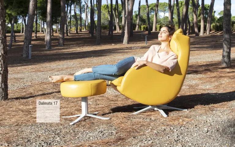 Dalmata piel Fama 2021 02