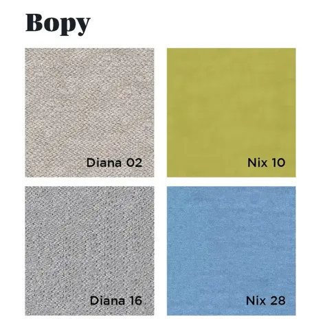 Bopy servicio express 01