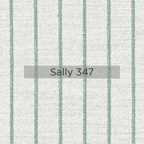 Sally_347