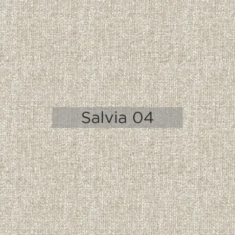 Salvia_04
