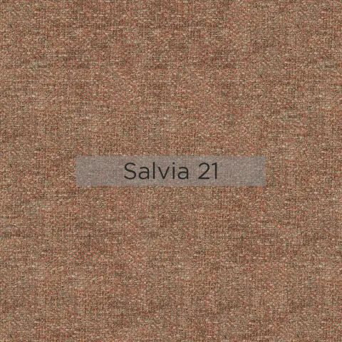 Salvia_21