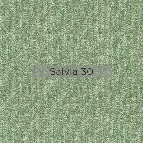 Salvia_30