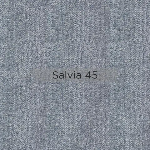 Salvia_45