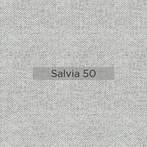 Salvia_50