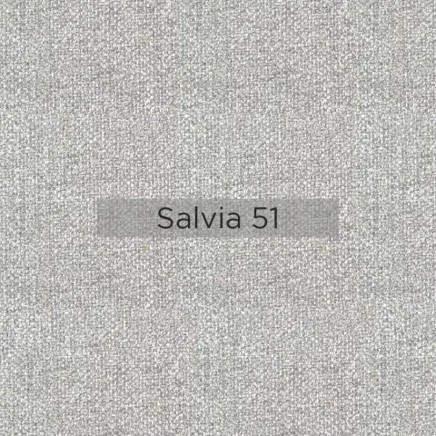 Salvia_51