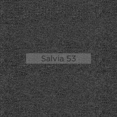 Salvia_53